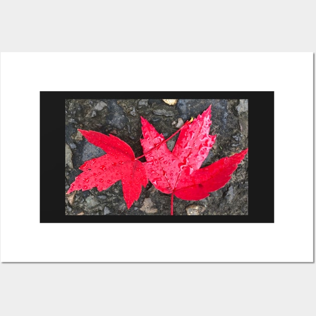 Forest Bathing...Leaf it to Me! Wall Art by Photomersion